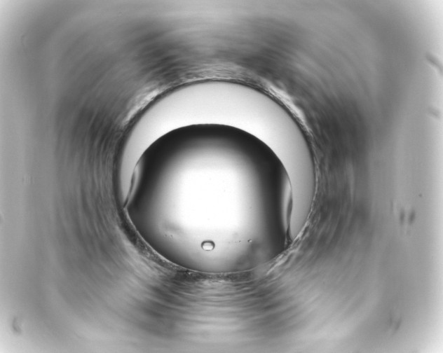 X0000093250154200710241321