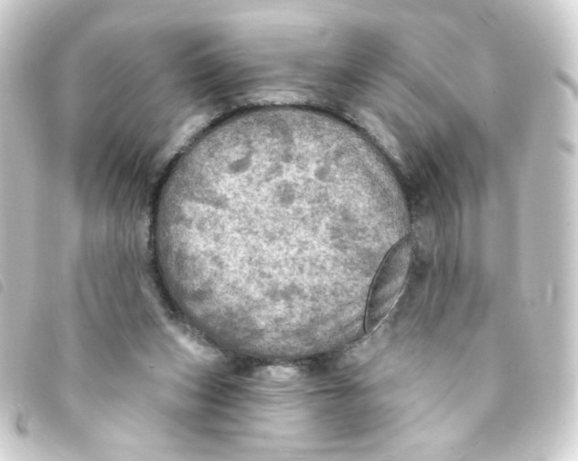 X0000093250159200710241321