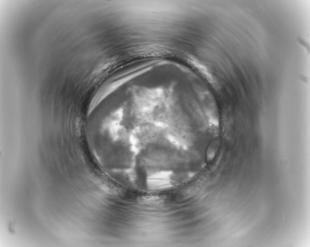 X0000093250161200710241321