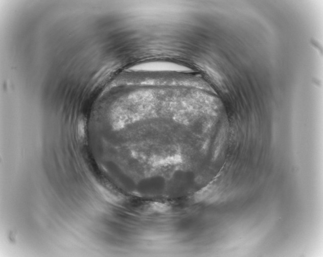X0000093250166200710241321