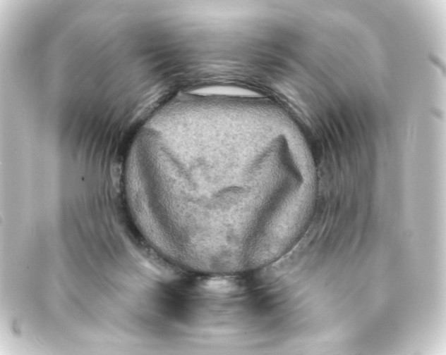 X0000093250171200710241321