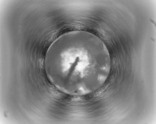 X0000093250177200710241321