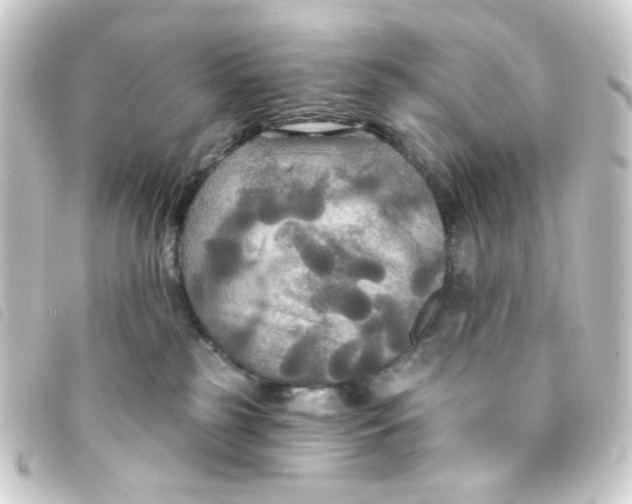 X0000093250185200710241321