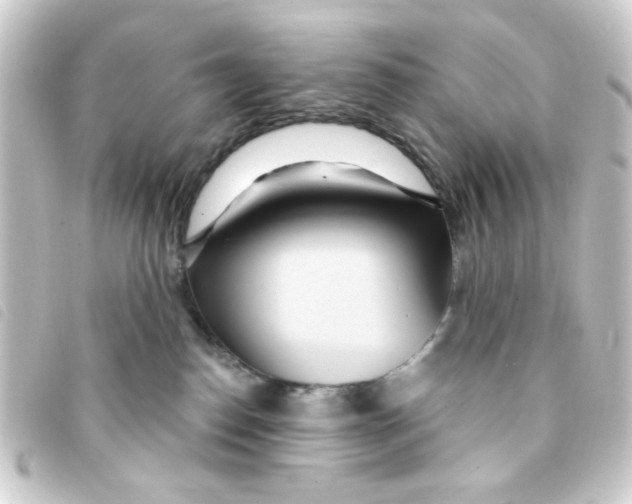 X0000093250186200710241321