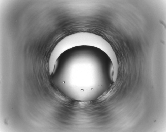 X0000093250188200710241321