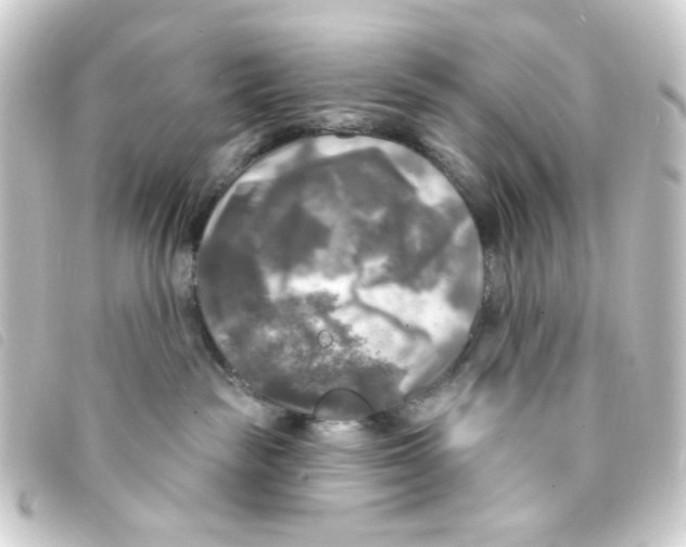 X0000093250189200710241321