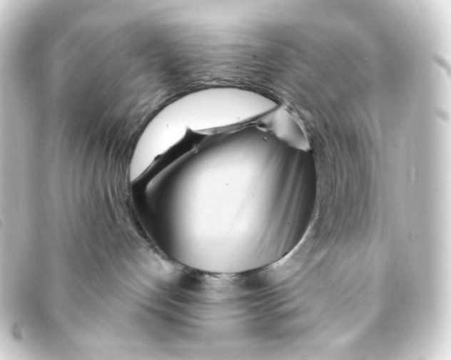 X0000093250192200710241321