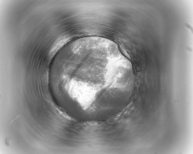 X0000093250194200710241320