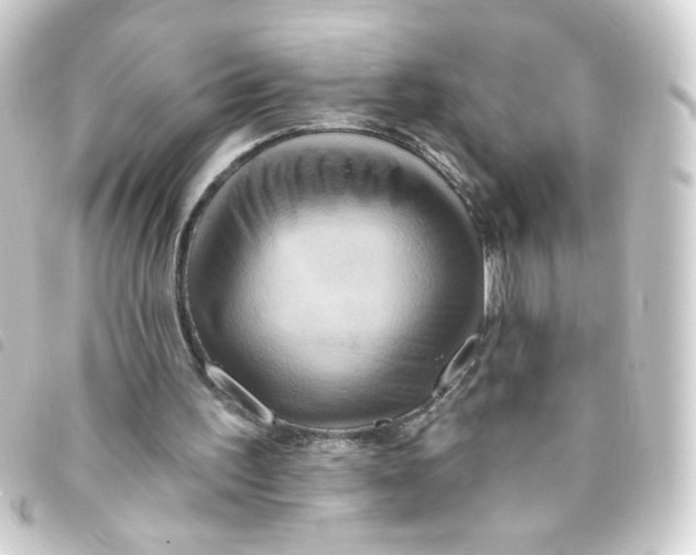 X0000093250195200710241320