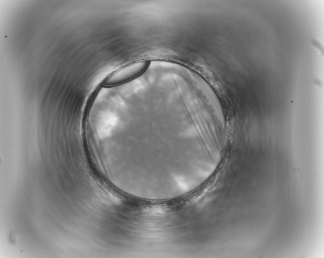 X0000093250196200710241320