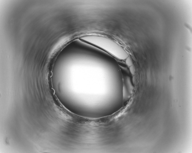 X0000093250197200710241320