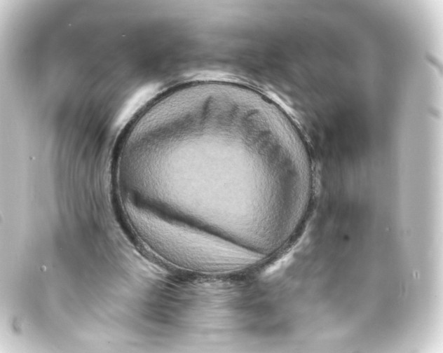 X0000093250199200710241320