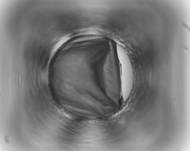 X0000093250200200710241320
