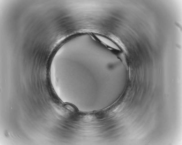 X0000093250204200710241320