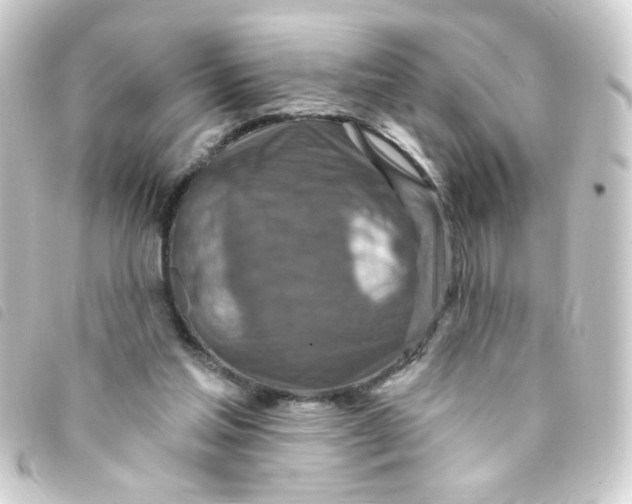 X0000093250205200710241320