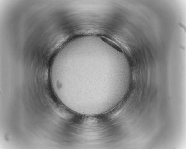 X0000093250206200710241320