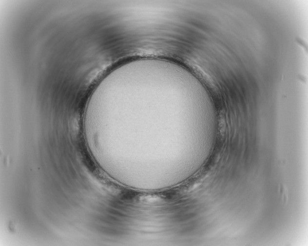 X0000093250208200710241320