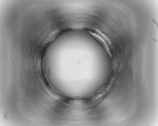 X0000093250209200710241320