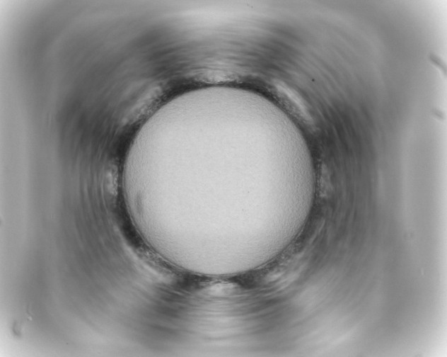X0000093250210200710241320