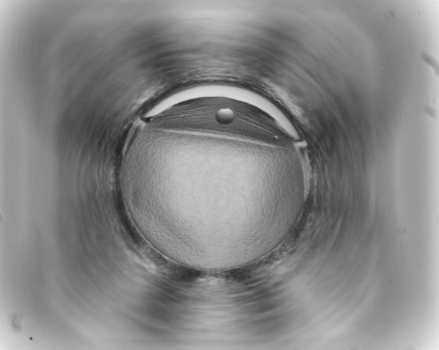 X0000093250211200710241320