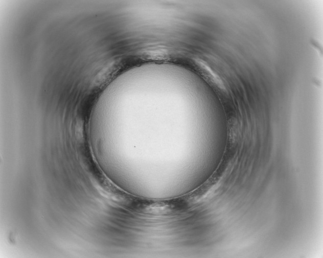 X0000093250213200710241320