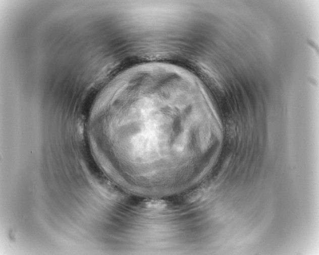 X0000093250214200710241320
