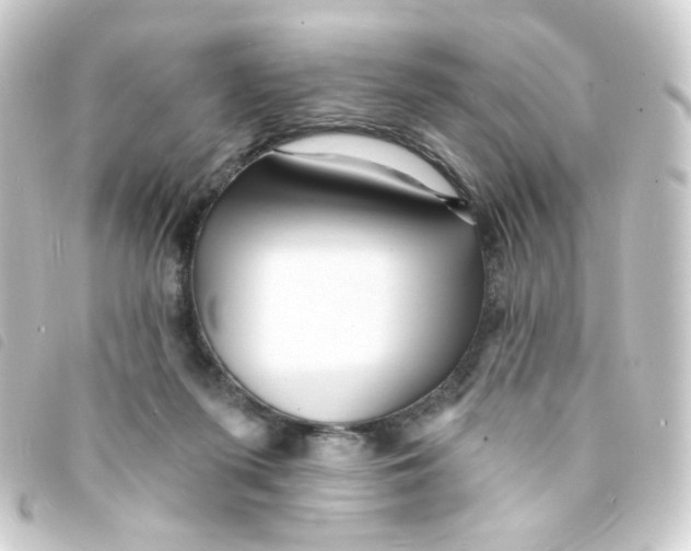 X0000093250215200710241320