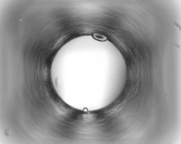 X0000093250216200710241320