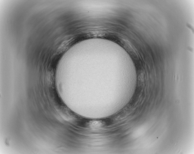 X0000093250218200710241320