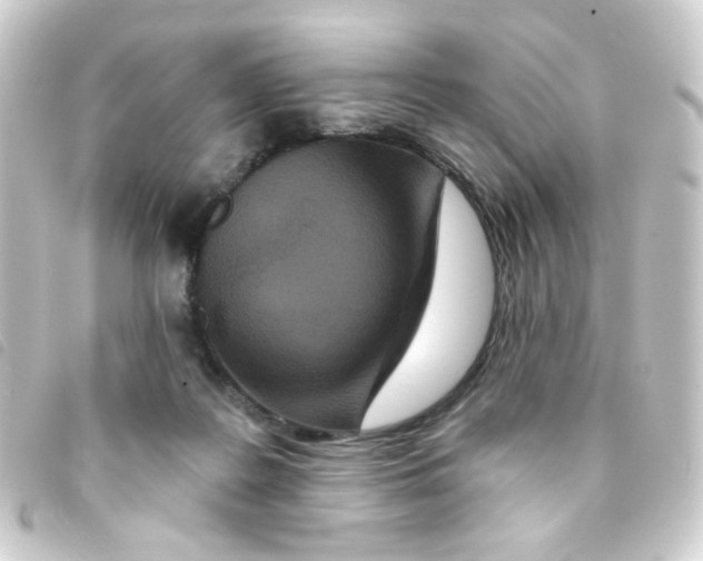 X0000093250219200710241320