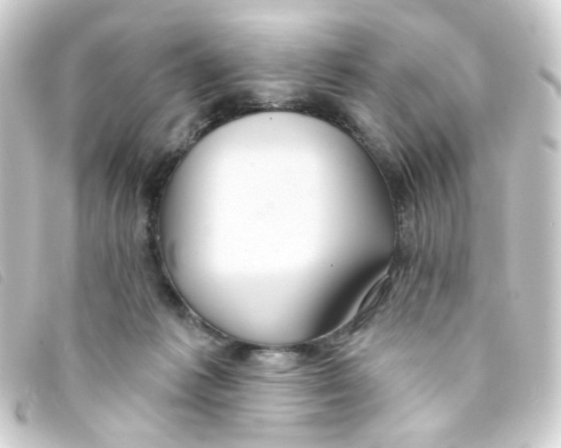 X0000093250221200710241320