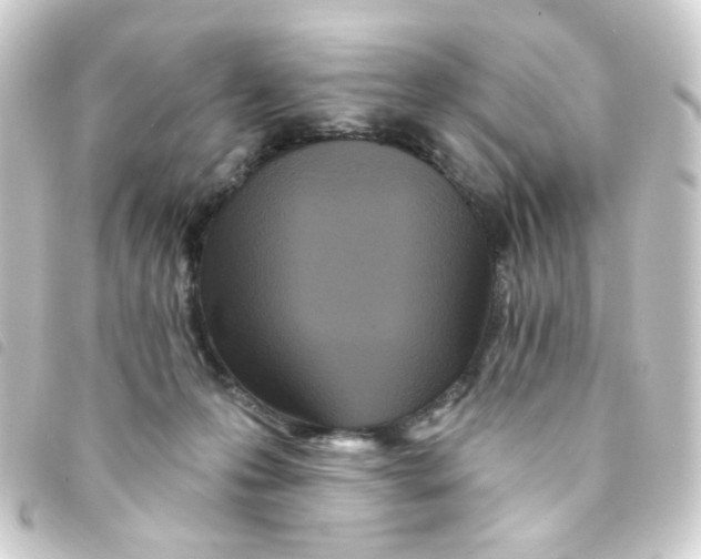 X0000093250223200710241320