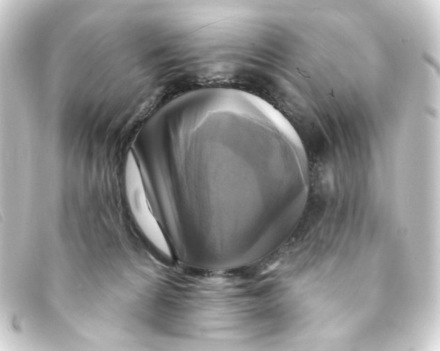 X0000093250224200710241320