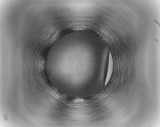 X0000093250227200710241320