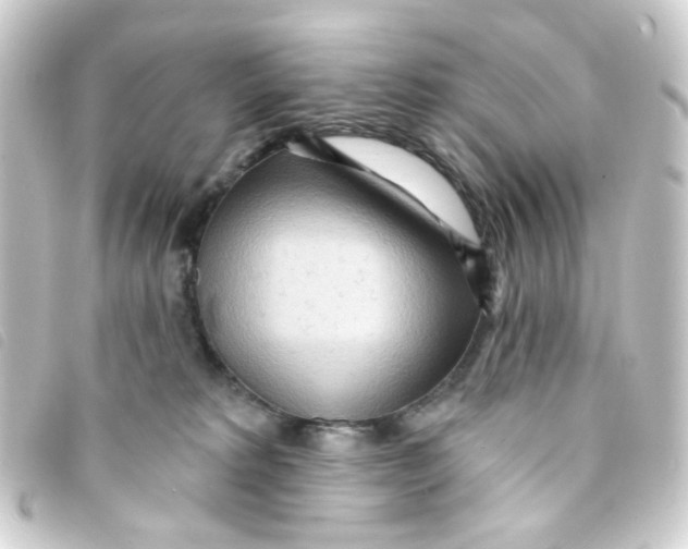 X0000093250229200710241320