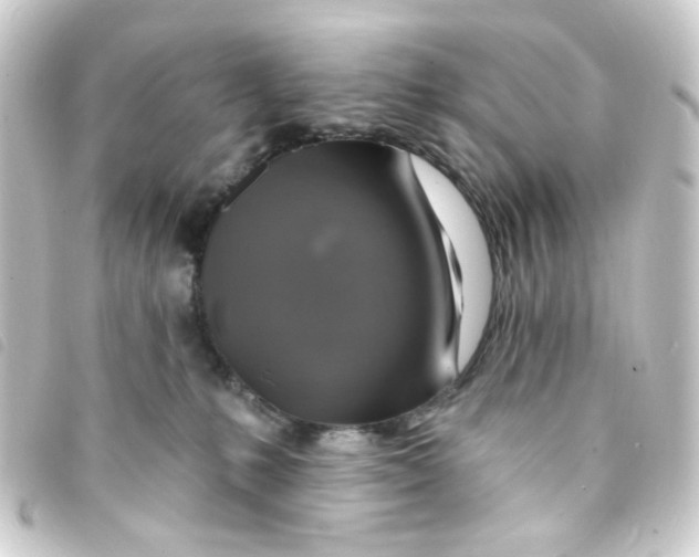 X0000093250231200710241320