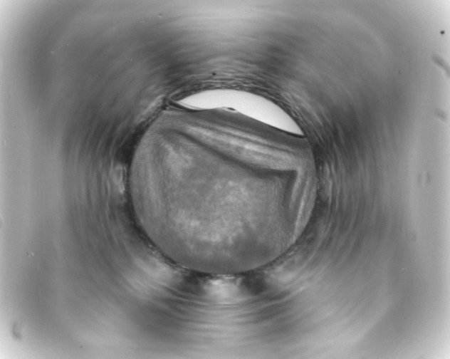 X0000093250232200710241320