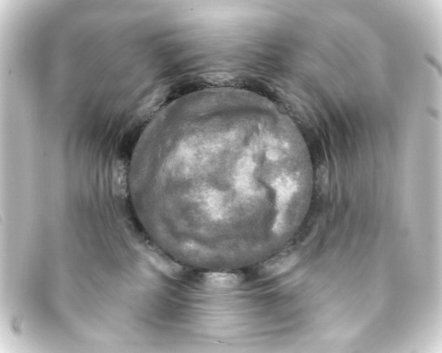 X0000093250234200710241320