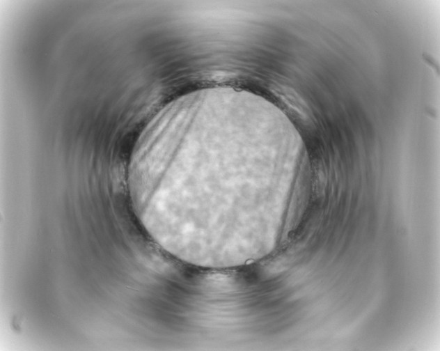 X0000093250236200710241320