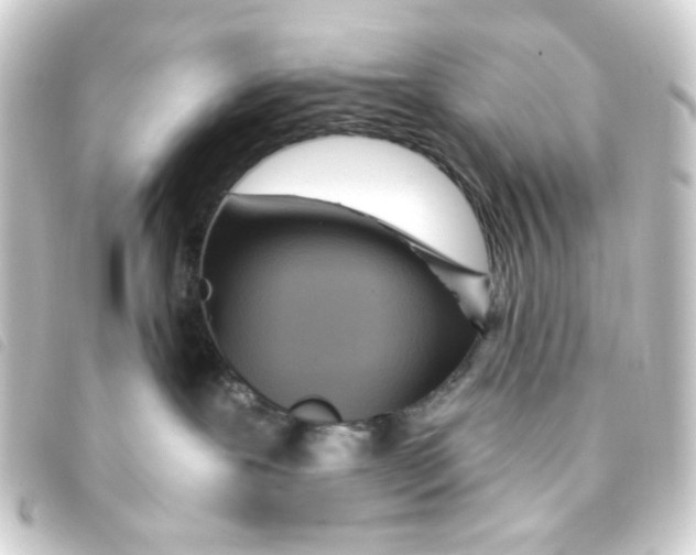 X0000093250239200710241320