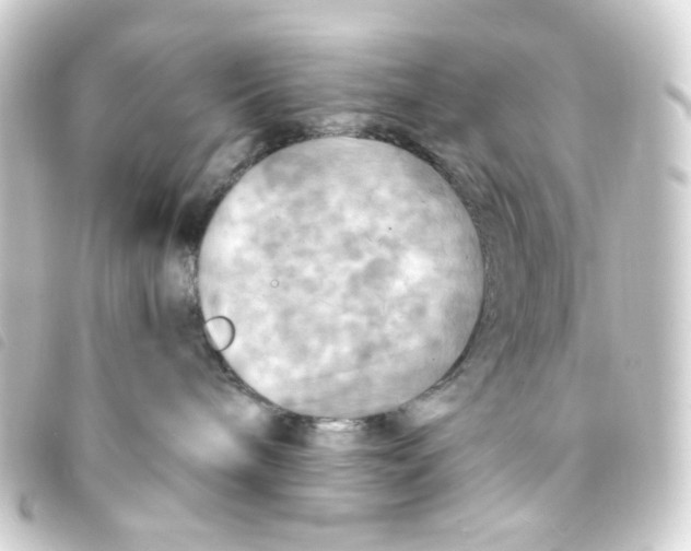 X0000093250240200710241320