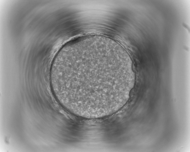 X0000093250241200710241319
