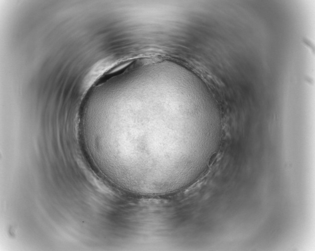 X0000093250242200710241319