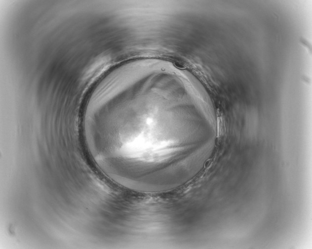 X0000093250243200710241319