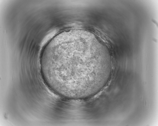 X0000093250245200710241319