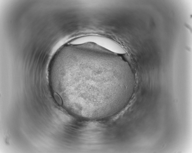 X0000093250246200710241319