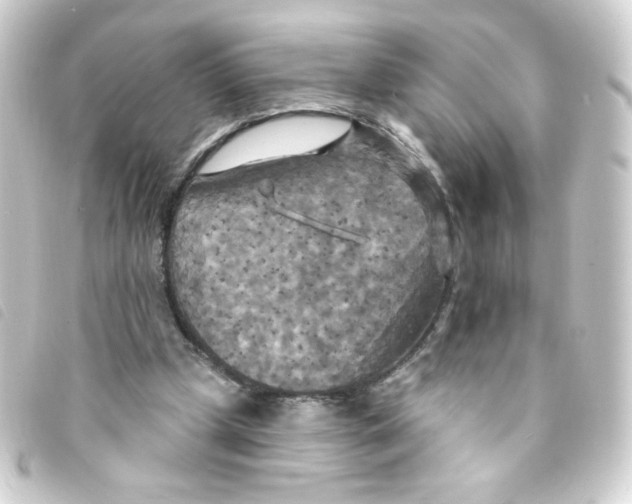 X0000093250249200710241319