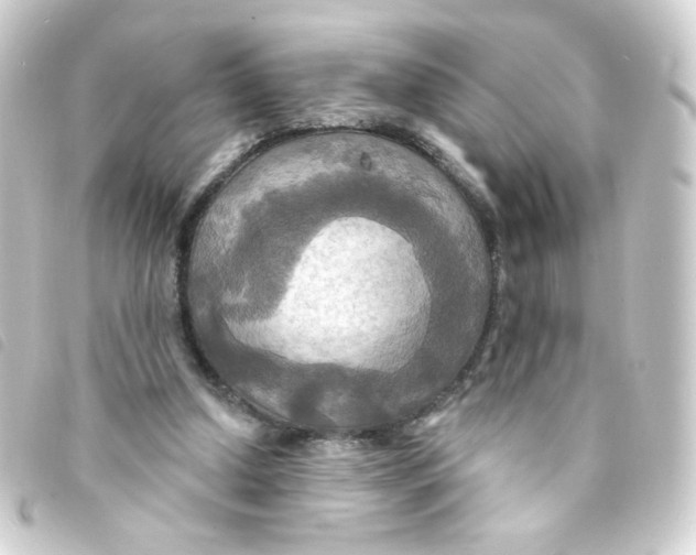 X0000093250250200710241319