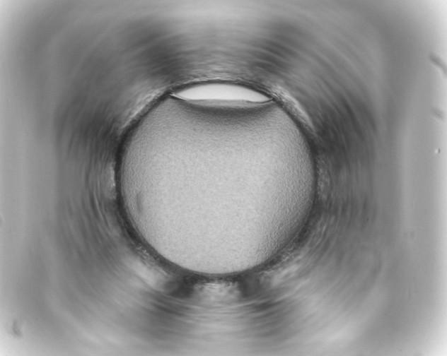X0000093250251200710241319