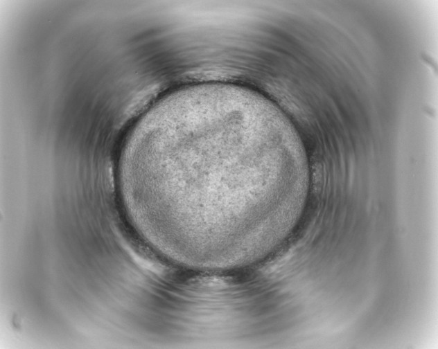 X0000093250254200710241320